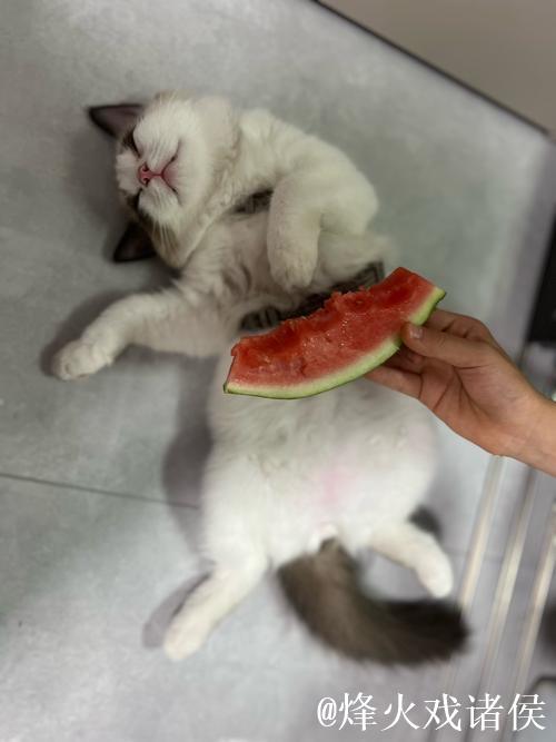 17吃瓜网免费吃瓜新视角：精彩不断